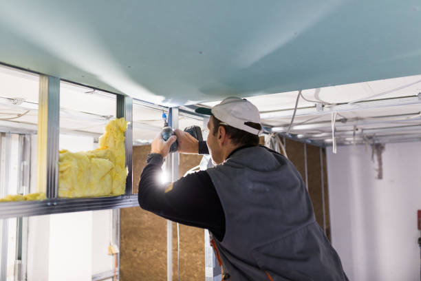 Eco-Friendly or Green Insulation Solutions in Grifton, NC